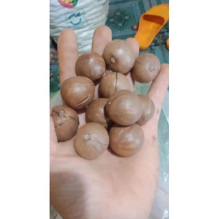 [Hàng cao cấp]# Hạt Măc ca sấy nứt Đăk Lăk Loai 1kg