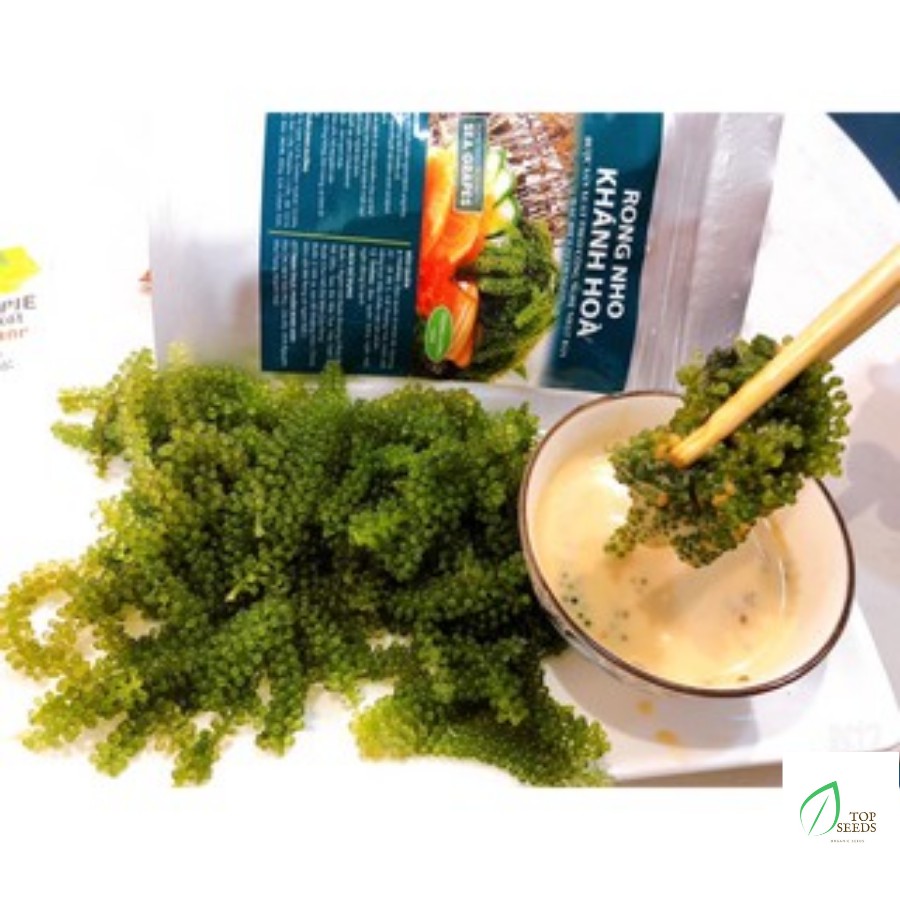 Rong Nho Tách Nước Khánh Hoà 25Gr - Công Nghệ Tách Nước Tiêu Chuẩn Nhật Bản | BigBuy360 - bigbuy360.vn