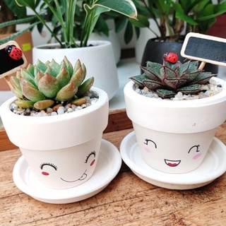 Sen đá MIX CHẬU VẼ để bàn