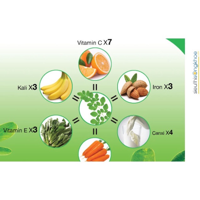 Bột Chùm Ngây Dalahouse 60g - Bổ Sung Kẽm, Vitamin C, Chất Chống Oxy Hóa, Hỗ Trợ Tim Mạch, Bảo Vệ Gan