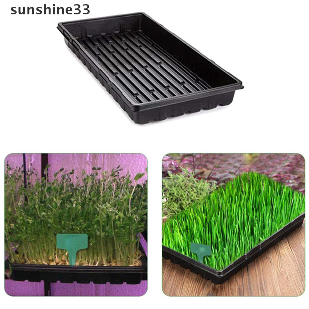 Khay Nhựa Trồng Cây Mầm Tiện Dụng