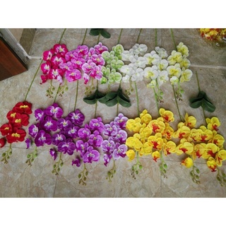 lan hồ điệp giả