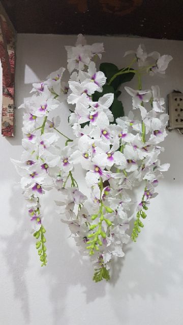 Giỏ hoa lan treo tường