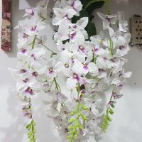 Giỏ hoa lan treo tường