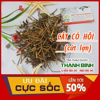 Cây Cứt Lợn Hoa Tím 500Gr (Tươi - Khô)