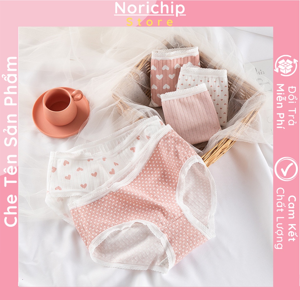 Quần lót cotton nữ viền ren đáy quần cotton thoáng mát thấm hút ẩm tốt tạo thoải mái khi mặc họa tiết dễ thương NORICHIP