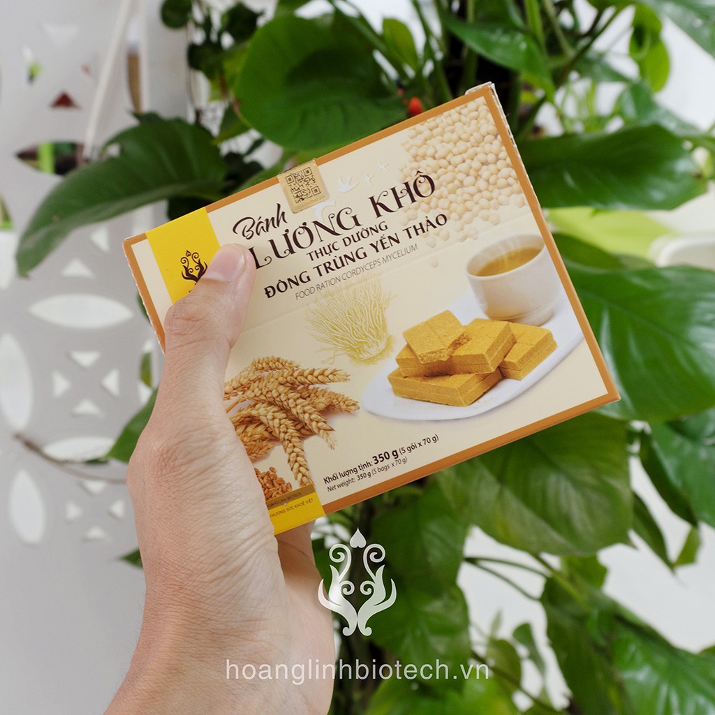 Bánh Lương Khô Đông Trùng Yến Thảo (350gr) - bổ dưỡng bánh quy nén thay thế bữa ăn nhiều hương vị, bữa sáng đầy đủ.