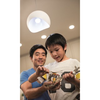 Bộ 3 Bóng đèn Phi lips Ecobright LEDBulb 8W 6500K đuôi E27 A60