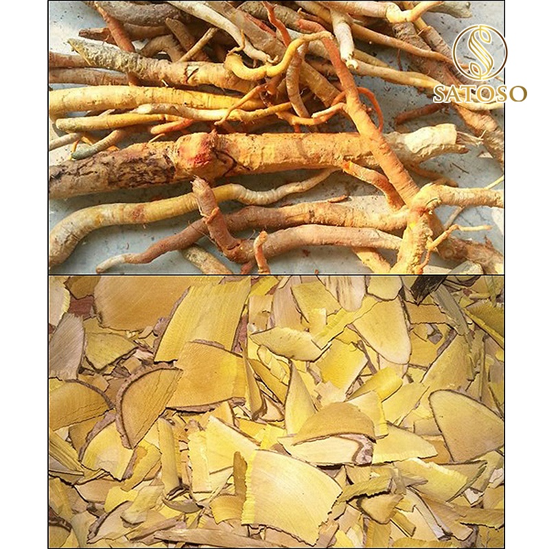 Rễ mật nhân thượng hạng tốt cho si.nh l.ý nam SATOSO 1kg SA39