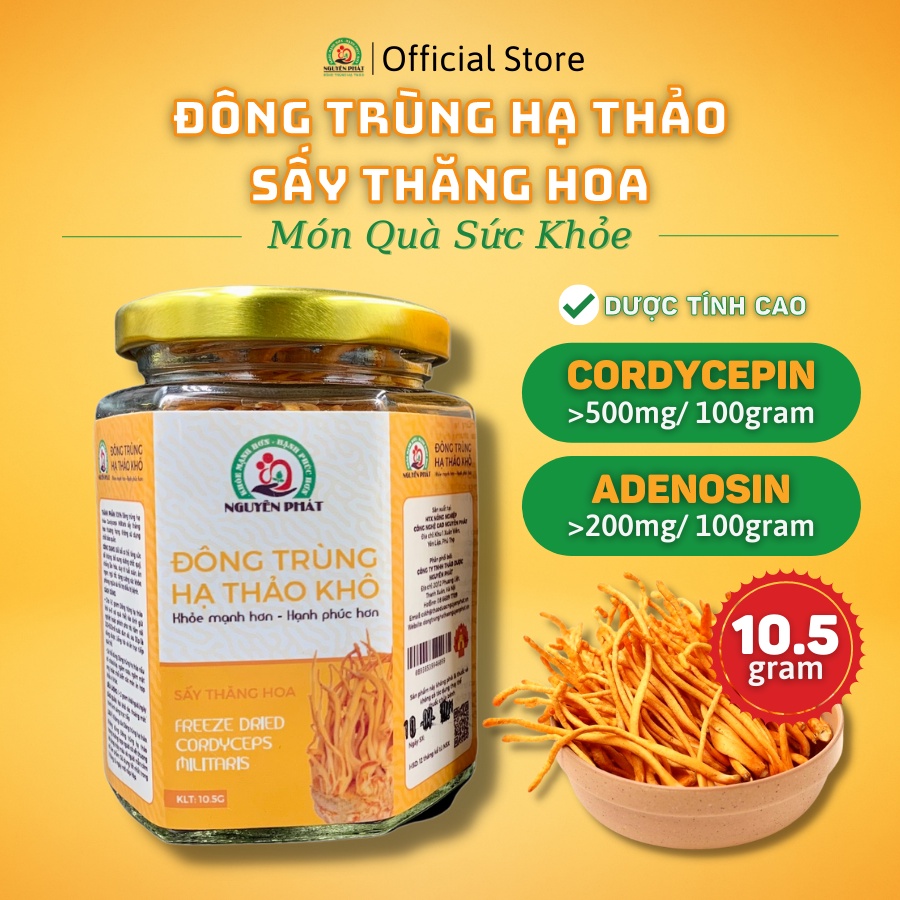 Đông Trùng Hạ Thảo sấy thăng hoa Nguyên Phát hộp 10 gram cao cấp - Bồi bổ cơ thể - Tăng sức đề kháng - Nấu canh, pha trà