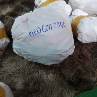 Combo 3 cái