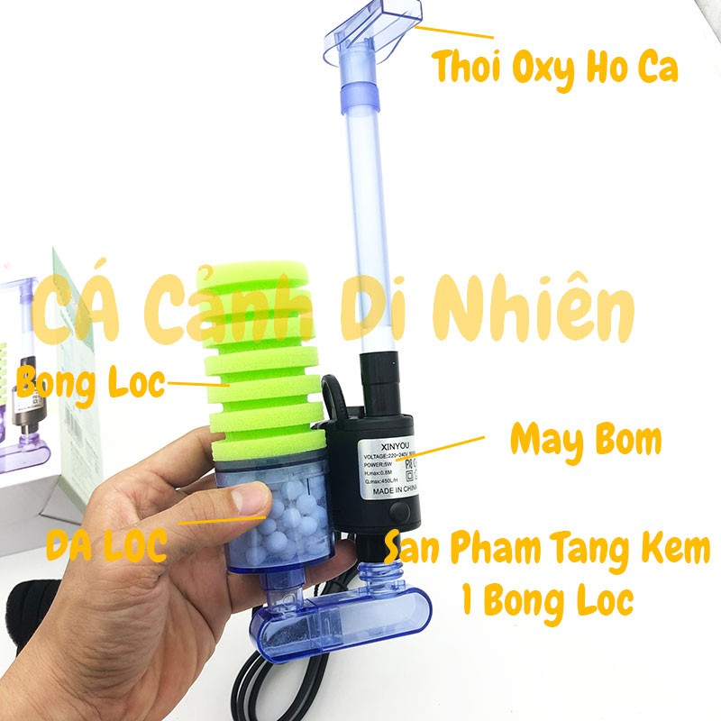 Lọc sủi vi sinh có MÁY BƠM bio bông ĐƠN kèm vật liệu lọc XY-2901
