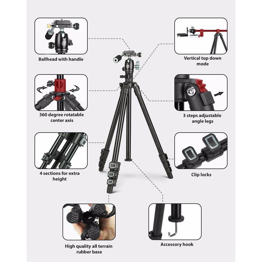 Chân máy ảnh Tripod Beike Q-202F