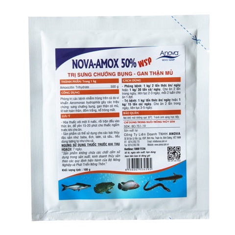 ANOVA Nova Amox 50 WSP -  sản phẩm hổ trợ sức khỏe cho cá lươn ốc ếch ( TRƯỚNG BỤNG - GAN THẬN MỦ) , 100gr- Lonton store