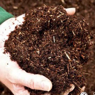 Nấm Trichoderma COMPOST(1kg) - Trichoderma Điền Trang (1kg) Chuyên Dùng Ủ Phân Hữu Cơ