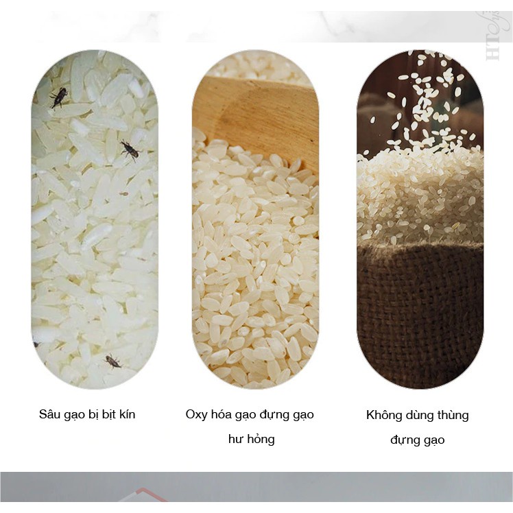 Thùng Đựng Gạo Chống Ẩm Mốc,Chống Mối Mọt ECoCo Thông Minh -  Loại 5kg và 10kg Chính Hãng