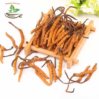 🍀 Đông Trùng Hạ Thảo Tây Tạng Nguyên Con - Vip 5gr