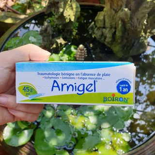 Kem bôi tan bầm tím Arnigel 45g hàng nội địa Pháp