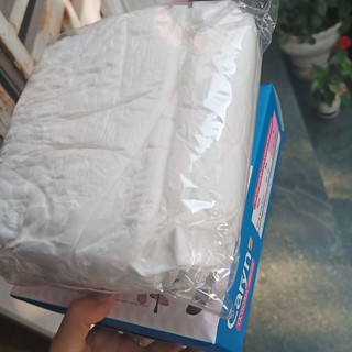 [RẺ VÔ ĐỊCH] COMBO 30 MIẾNG TÃ QUẦN CARYN SIZE L, DATE 2024