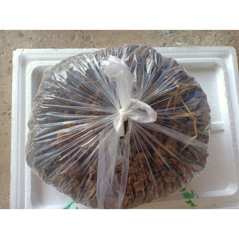 Giá thể trồng cây