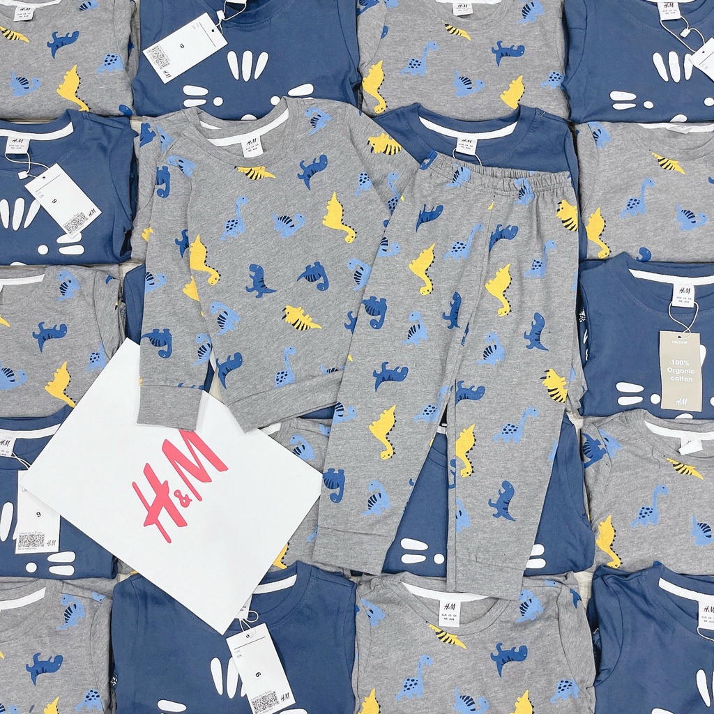 Set 2 bộ H.M khủng long cotton dày co giãn mềm đẹp cho bé trai từ 18m-6Y