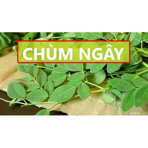 COMBO 03 hộp trà Chùm ngây ( mua 6 tặng 1)