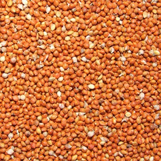 Kê đỏ nhỏ combo gói 5kg