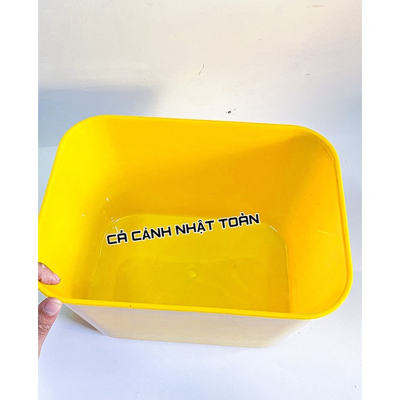 THÙNG NHỰA 7 LÍT NUÔI CÁ BẢY MÀU BETTA 30X22X16CM