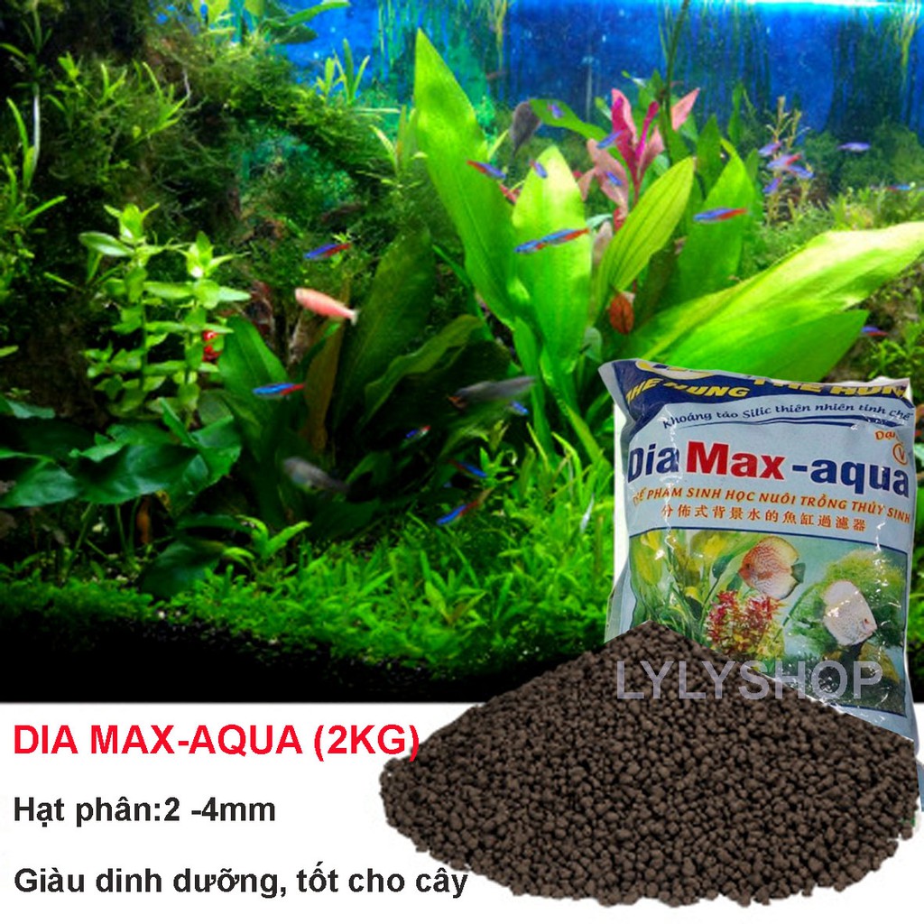 San hô 1KG vật liệu lọc,tăng PH,trang trí bể cá + Đất nền thủy sinh Diamax aqua 2KG giàu dinh dưỡng, giúp cây phát triển