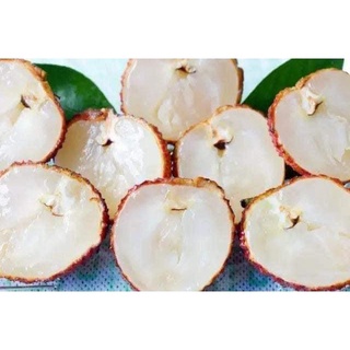 CÂY GIỐNG VẢI KHÔNG HẠT (chuẩn giống cây trồng)