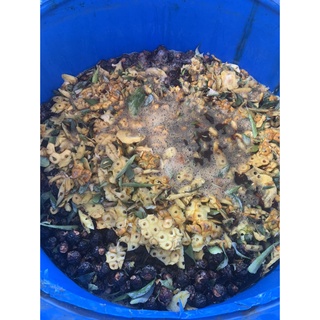 Can enzyme bồ hòn đa năng 5 lít