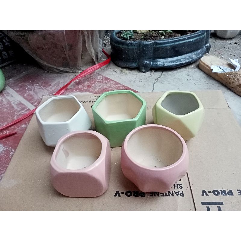 Combo giá rẻ Mix 5 chậu Side 8cm -65k.