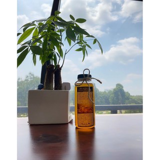 Mật ong bông trắng 1 lit