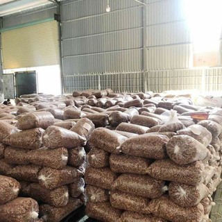 [Loại Bự] Điều Rang Muối Nguyên Hạt Vỏ Lụa Loại Vip (380-430 hạt/kg)