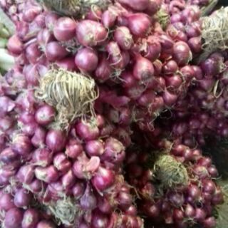 (Chính Gốc) Hành Tím Ta Phan Rang (1 kg)