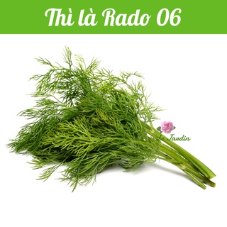 Hạt giống thì là gói 5gr