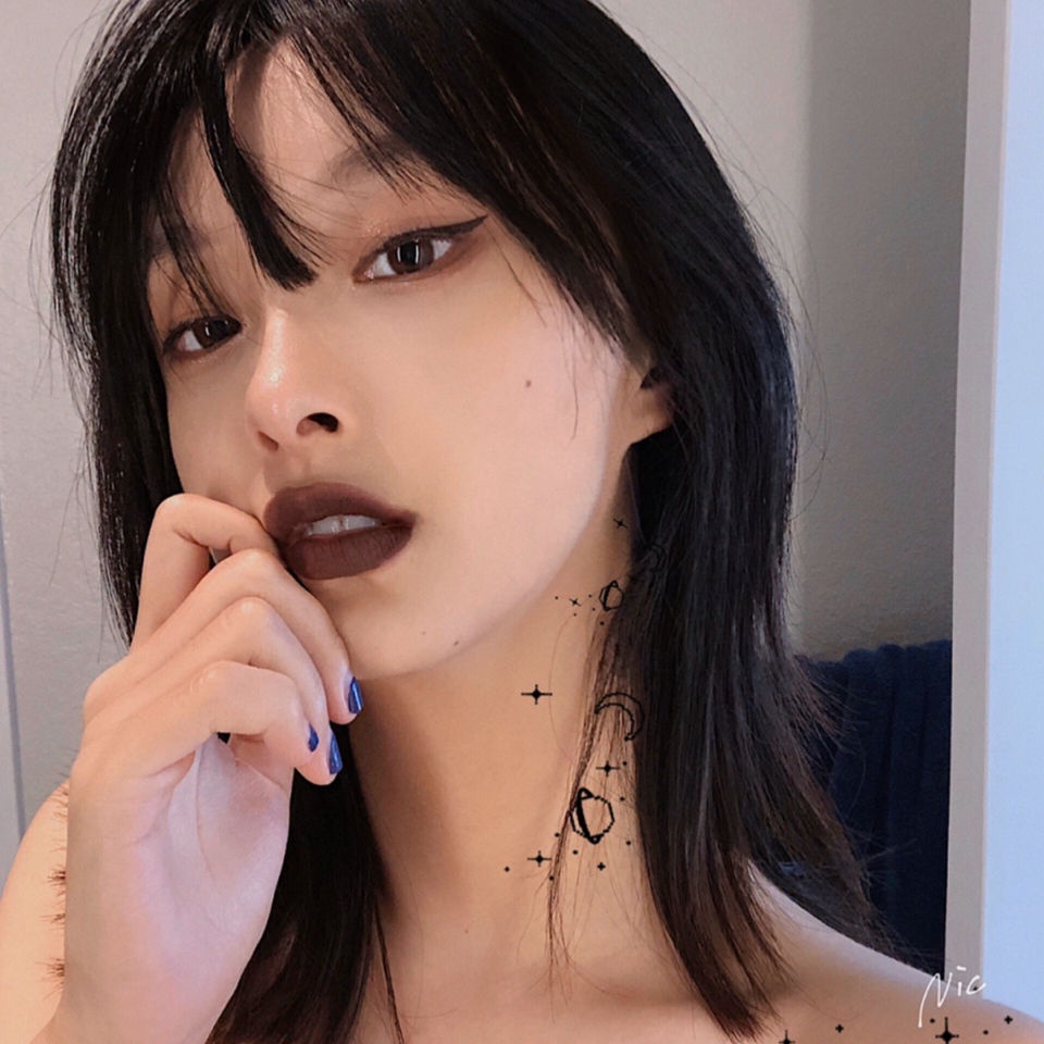 Son Kem Tông Màu Nâu Nâu Đất Trang Điểm Phong Cách Âu Mỹ