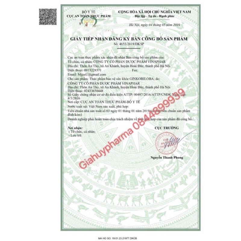 GINKO BILOBA 120MG Vinaphar -  Hộp 100 viên - tăng cường lưu thống máu, tăng lưu lượng tuần hoàn máu não