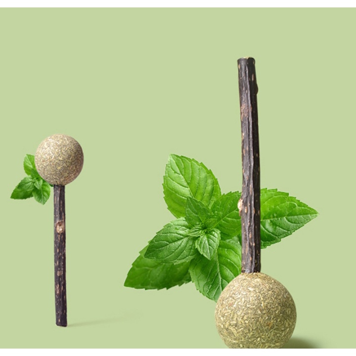 Kẹo mút cỏ mèo Catnip - Rạch Răng Thơm Miệng và Giảm căng thẳng cho mèo
