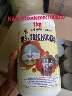 Nấm đối kháng trichoderma
