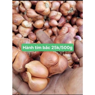 HÀNH TÍM KHÔ BẮC