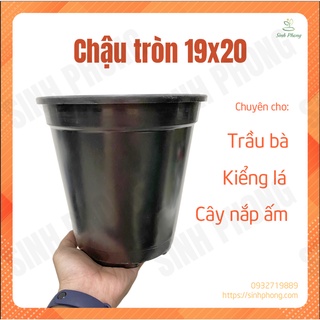 Chậu tròn 19x20 đen, dày + cứng + bền, sl: 10 cái