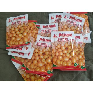 Hạt giống quả tầm bóp