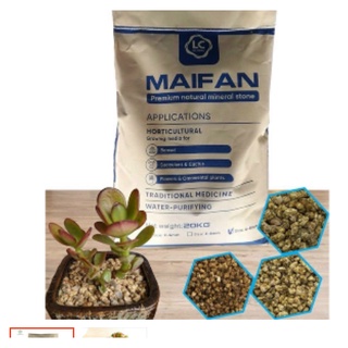 1kg Đá khoáng Maifan rải mặt, giữ mầu sen đá