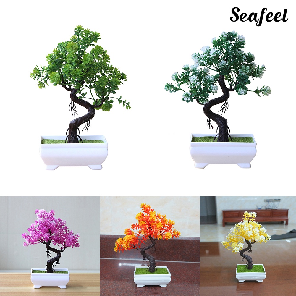 Chậu Cây Bonsai Giả Trang Trí Bàn