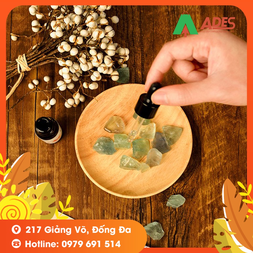 Bộ sưu tập Lofree Greenset Chilling - Đèn Chilling Lofree/Loa Bluetooth Lofree/Hộp Đá Thơm Aroma - Hàng Chính Hãng