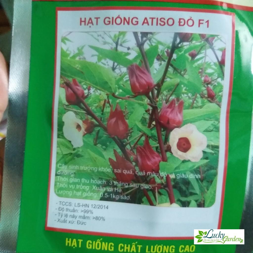 5 Hạt giống Atiso đỏ (Bụt dấm) (tặng gói Kích nẩy mầm và Hướng dẫn) XTRA