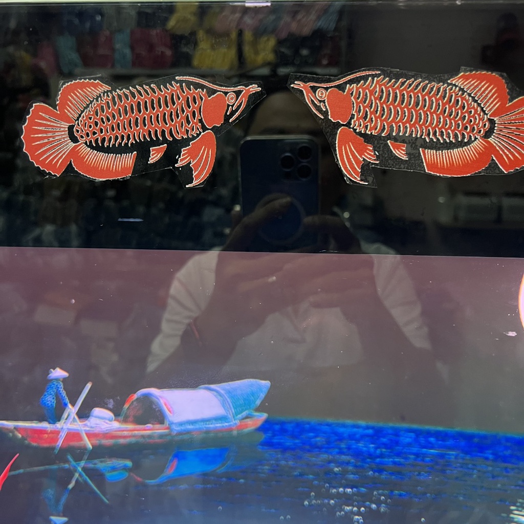 DECAL Hồ Cá - STICKER Dán Thành Hồ Cá Rồng Huyết Long, Bối Vàng Kích Thước 17x6cm