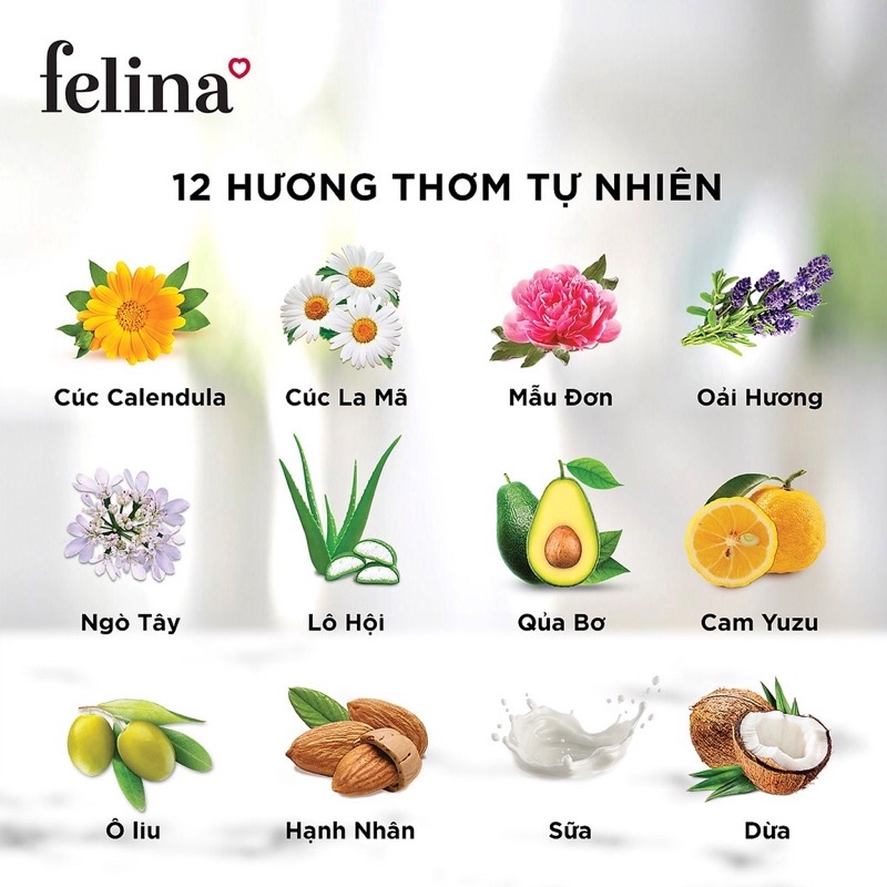 Muối Tắm Tẩy Tế Bào Chết Felina 500g