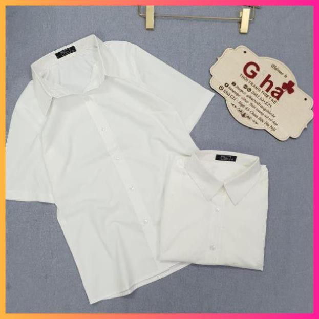 Sơ mi ngắn tay công sở, áo sơ mi nữ  MoonMy  Sơ Mi Nữ ngắn tay - Hàng Cao Cấp | BigBuy360 - bigbuy360.vn